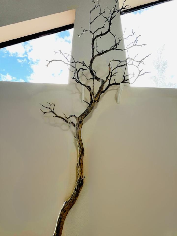 Ghost tree
