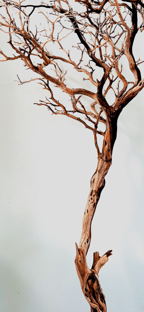 Ghost tree